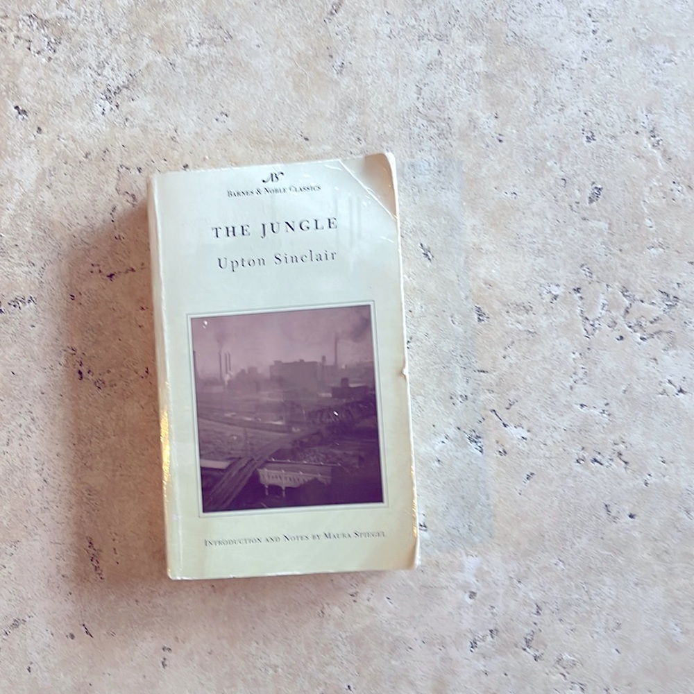 The Jungle used book by upton Sinclair